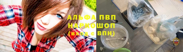 СК Алзамай