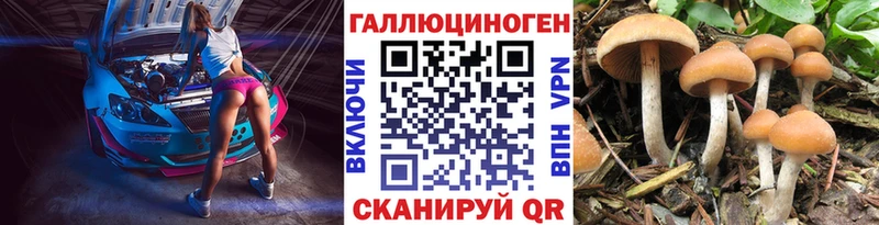 Галлюциногенные грибы GOLDEN TEACHER  продажа наркотиков  Карачаевск 